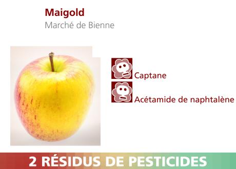 Pommes Maigold du Marché de Bienne. [RTS]