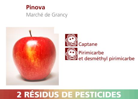 Pommes Pinova du Marché de Grancy. [RTS]