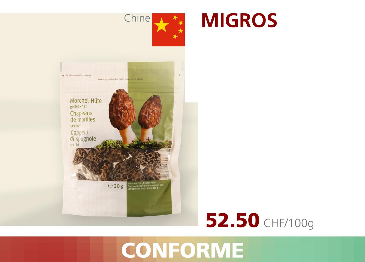 ABE WEB morilles 00004