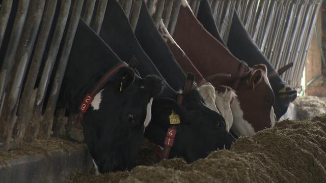 Agriculteurs sous pression de la grande distribution.