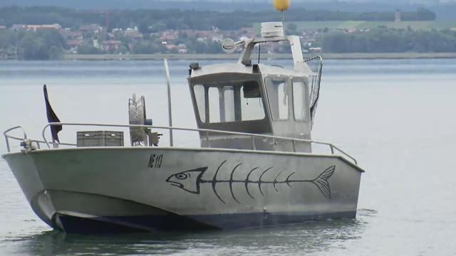 ABE d'été: poissons de nos lacs, en danger.