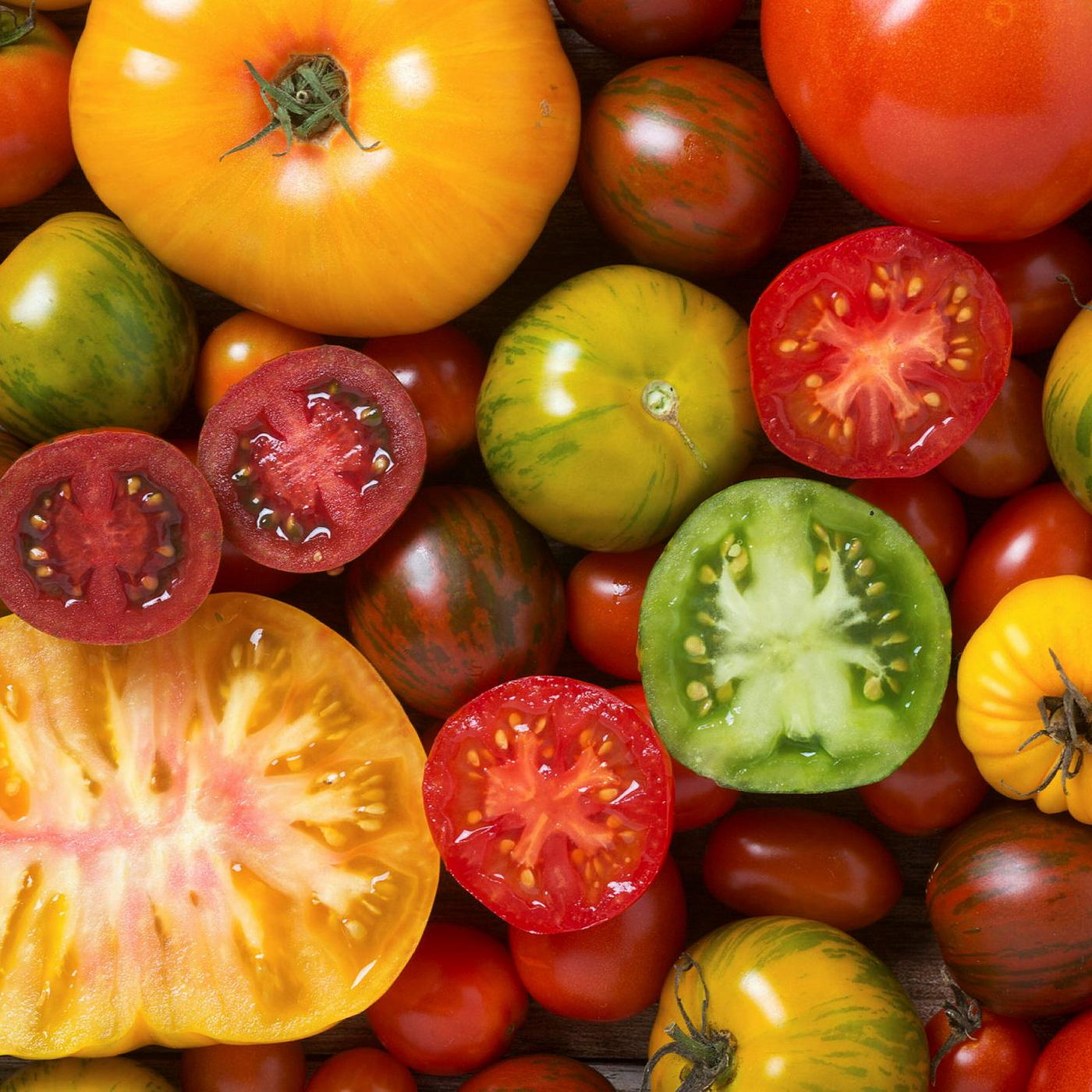 Où est passé le goût de la tomate ?