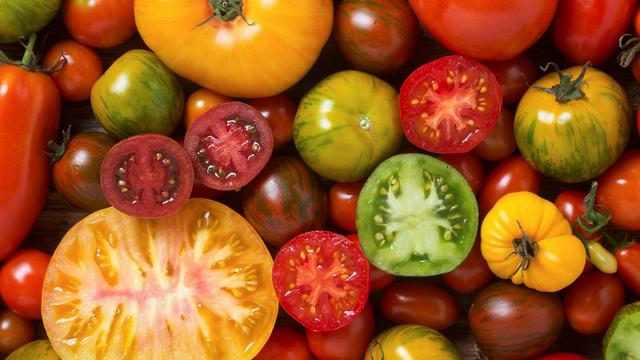 Où est passé le goût de la tomate ?