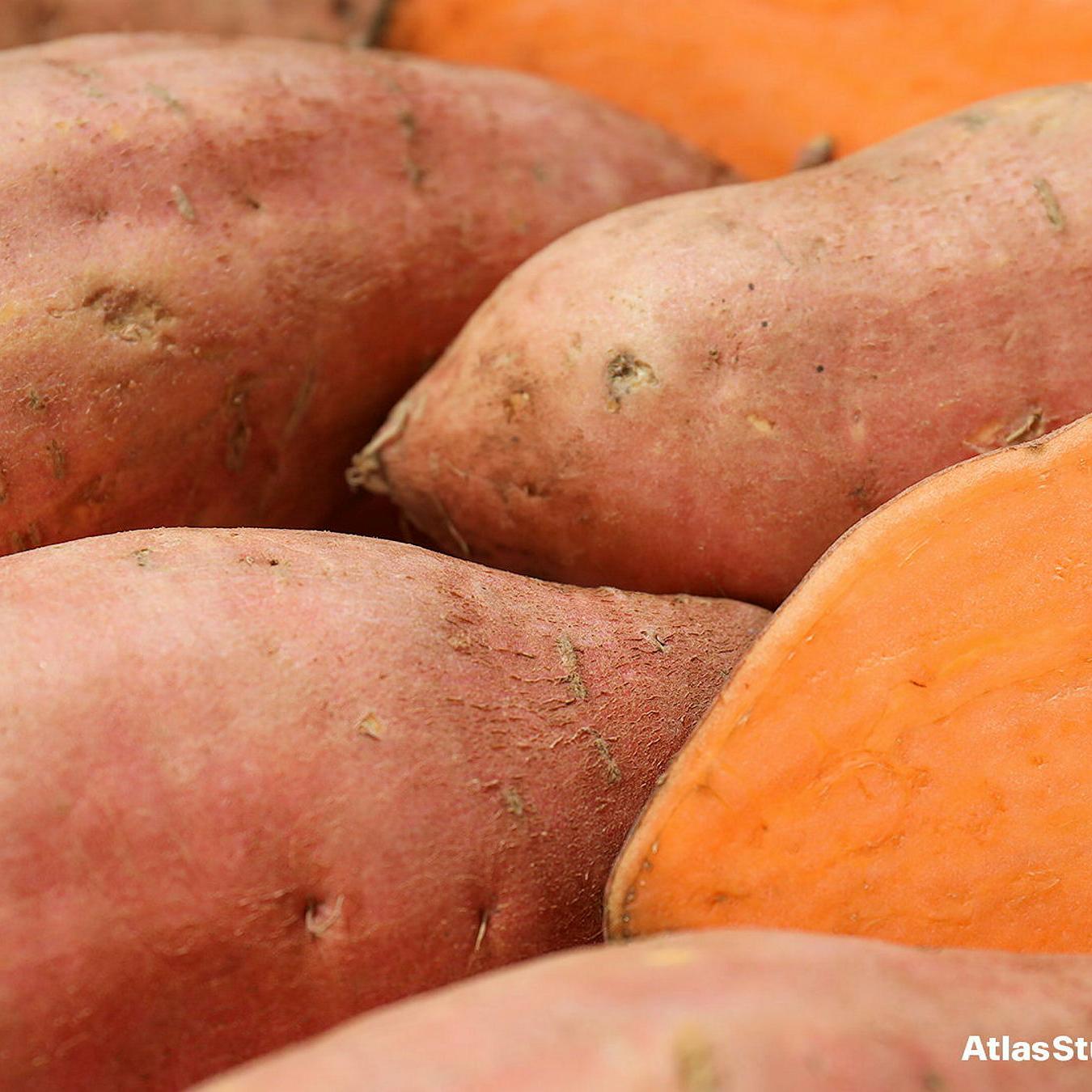 La patate douce «swiss made»