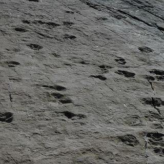Vu d'ensemble des traces de dinosaures du versant suisse du col de la Terrasse au barrage d'Emosson. [Wikimedia]