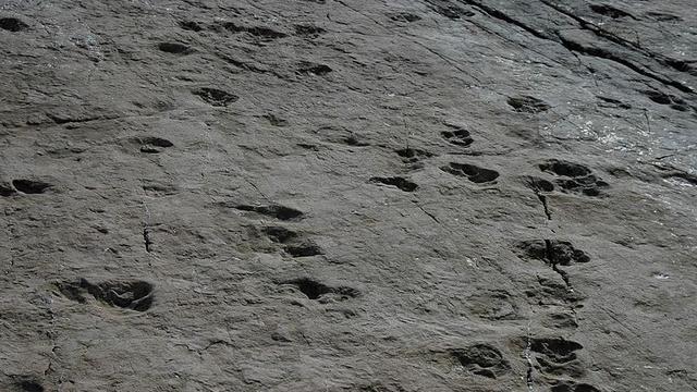Vu d'ensemble des traces de dinosaures du versant suisse du col de la Terrasse au barrage d'Emosson. [Wikimedia]