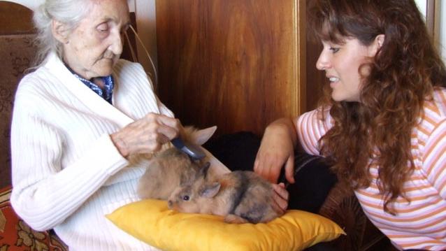 Séance de zoothérapie avec Nathalie Blanc-Rouèche et les lapins Toscane et Chatouille. [zooanimation.ch]