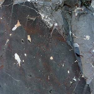 Calcaire ("marbre") de St-Triphon. [Wikimedia / Creative Commons - Roland Zumbühl]