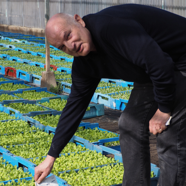 Daniel Marchand et ses plantons industriels [RTS]