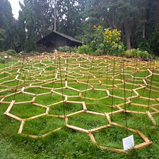 Une des nombreuses installations artistiques qui prennent place tout l’été au coeur du jardin botanique alpin de Meyrin. [Xavier Bloch / RTS - Xavier Bloch]