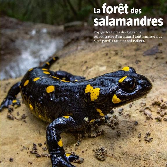 La Salamandre, la revue des curieux de nature. [© La Salamandre]