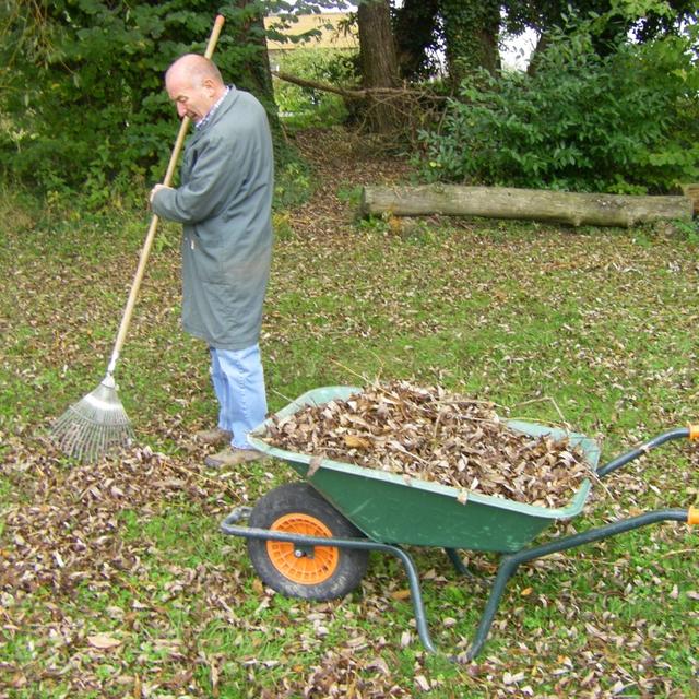 Ramassage de feuilles mortes par Jean-Pierre Masclet. [RTS - Isabelle Gendre]