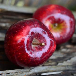 Kurt Hostettmann: La pomme [Pixabay]