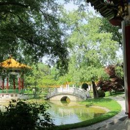 Jardin chinois à Zürich. [Museen Zuerich]