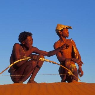 Deux Bochimans chassent avec des arcs et des flèches dans le désert du Kalahari. [Bildagentur RM / Photononstop]