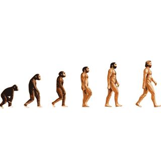 Au fil de l'évolution, l'Homme a perdu une grande partie de ses poils.
Floki Fotos
Fotolia [Floki Fotos]
