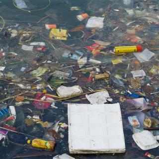 Les eaux des mers du globe se transforment en poubelle!
JAY
Fotolia [JAY]