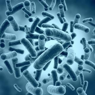Notre corps porte près de deux kilos de bactéries.
Jezper
Fotolia [Jezper]