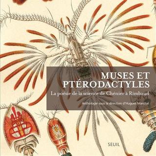 Couverture de l'ouvrage "Muses et ptérodactyles, la poésie de la science de Chénier à Rimbaud".
Editions du Seuil. [Editions du Seuil]