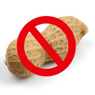 De plus en plus de personnes sont allergiques aux cacahuètes.
William Berry
Fotolia [William Berry]