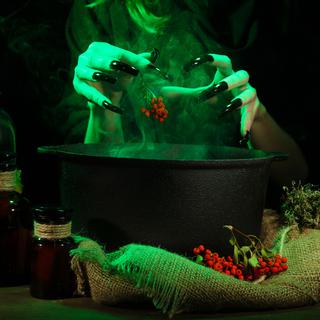Les sorcières utilisaient de nombreuses plantes dans leurs préparations.
Africa Studio 
Fotolia [Africa Studio]