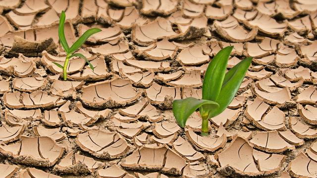 Le réchauffement climatique pourrait être source de biodiversité.
Dmitry
Fotolia [Dmitry]