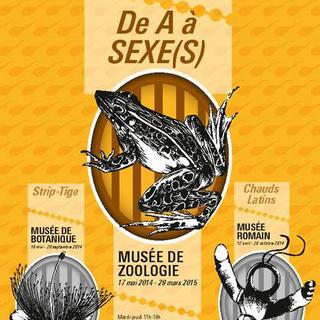 Détail de l'affiche de l'exposition "De A à Sexe(s)".
musee.vd.ch [musee.vd.ch]