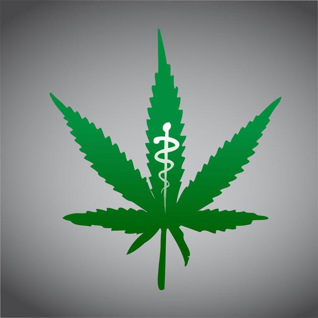 L'utilisation médicale du cannabis est autorisée en Suisse.
Alexmillos
Fotolia [Alexmillos]