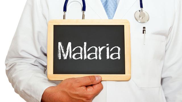 La malaria est également appelée "paludisme".
DOC RABE Media
Fotolia [DOC RABE Media]