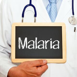 La malaria est également appelée "paludisme".
DOC RABE Media
Fotolia [DOC RABE Media]