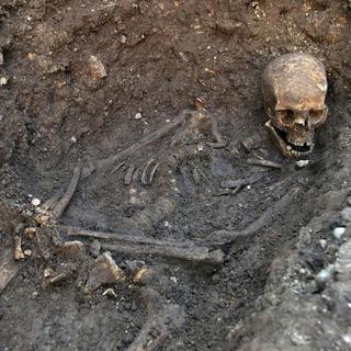 Le squelette du roi Richard III.
University of Leicester
Keystone [University of Leicester]