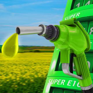 Les biocarburants sont controversés.
Rcx
Fotolia [Rcx]
