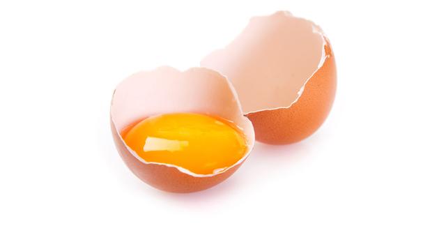 Les mécanismes de défense des œufs sont étudiés par la science. 
Valery121283
Fotolia [Valery121283]