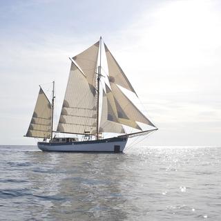 "Fleur de passion" est le plus grand voilier battant pavillon suisse.
The Ocean Mapping Expedition [The Ocean Mapping Expedition]