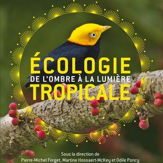 La couverture de l'ouvrage "Ecologie tropicale, de l’ombre à la lumière", paru aux éditions du Cherche midi.
Éd. du Cherche midi [Éd. du Cherche midi]