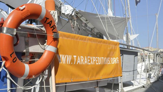 Le bateau de l'expédition Tara.
Gilles Bader
citizenside.com/AFP [citizenside.com/AFP - Gilles Bader]