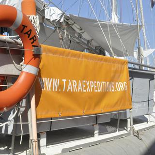 Le bateau de l'expédition Tara.
Gilles Bader
citizenside.com/AFP [citizenside.com/AFP - Gilles Bader]
