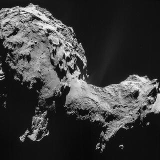 La comète Tchouri a la forme d'une cacahuète.
ESA/ROSETTA/NAVCAM
AFP [ESA/ROSETTA/NAVCAM]