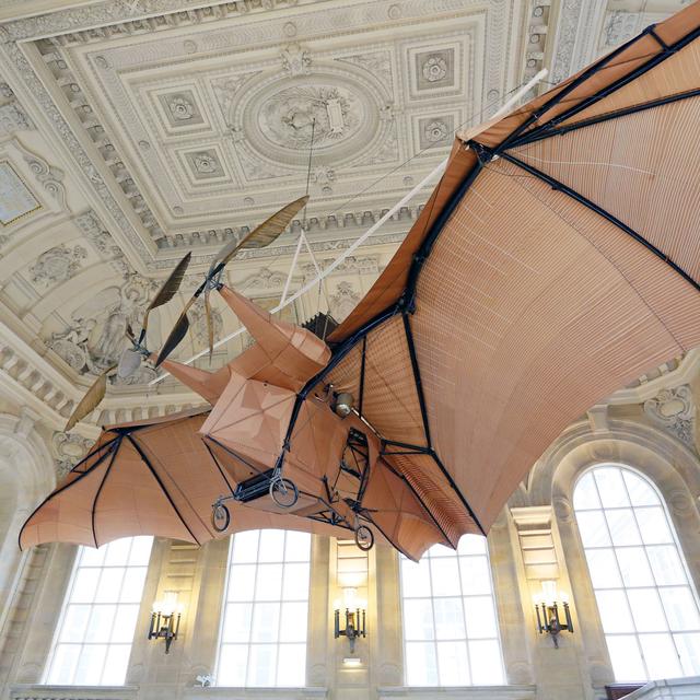 S'inspirer du vivant pour innover n'est pas nouveau, comme en témoigne cet avion "chauve-souris" imaginé au 19e siècle.
Christophe LEHENAFF / Photononstop 
AFP [Christophe LEHENAFF / Photononstop]