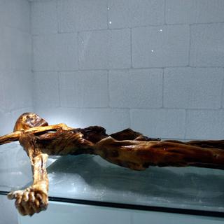 La momie de l'homme des glaces Ötzi, au musée d'archéologie de Bolzano le 28 février 2011.
Andrea Solero
AFP [AFP - Andrea Solero]