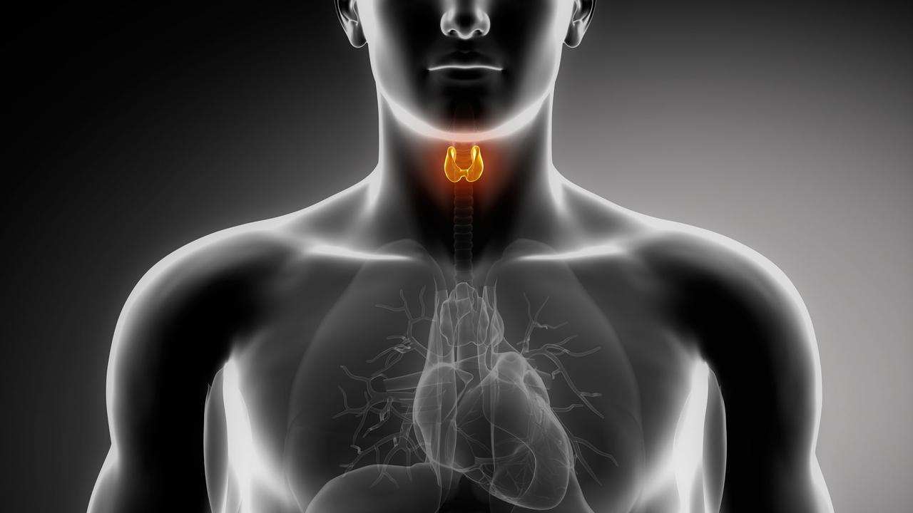 Une étude révèle le surdiagnostic de cancers de la thyroïde.
CLIPAREA.com
Fotolia [CLIPAREA.com]
