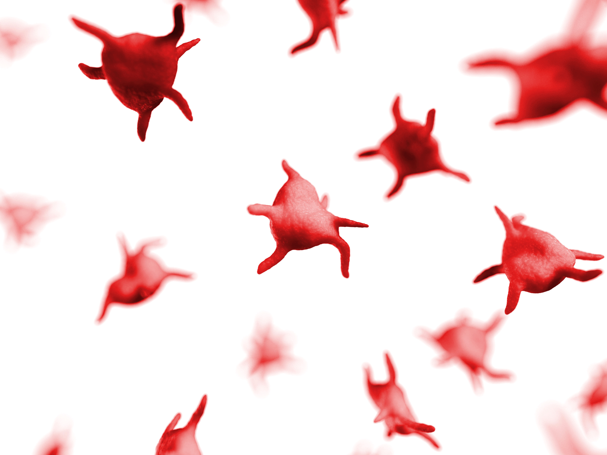 Plaquettes sanguines, image d'illustration. [SKU / Science Photo Library]