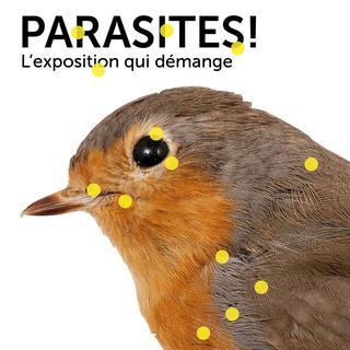 Une des affiches de "Parasites ! L'exposition qui démange" du Musée de zoologie de Lausanne.
du 22 septembre 2016 au 20 août 2017 [Musée de zoologie de Lausanne]