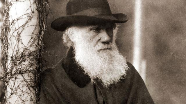 Portrait de Charles Darwin (1809-1882). [AFP - Bianchetti/Leemage]