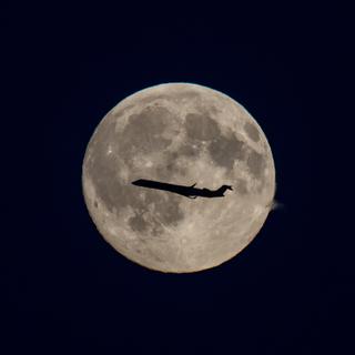 Les vols commerciaux pour la Lune sont pour demain.
mslooten
Fotolia [Fotolia - mslooten]