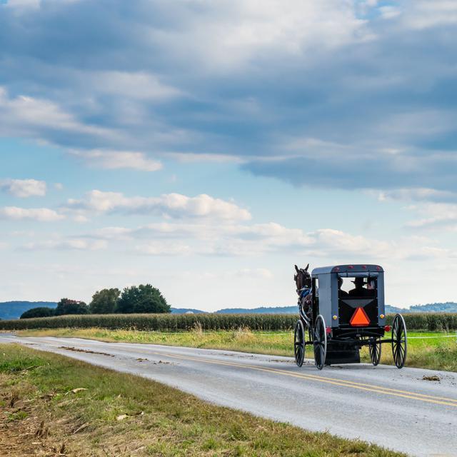 Certains Amish ont une "route" étonnamment longue.
pabrady63
Fotolia [pabrady63]