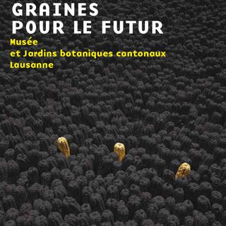 L'affiche de l'exposition "Graines pour le futur" au Musée du Jardin botanique de Lausanne.
musees.vd.ch [musees.vd.ch]