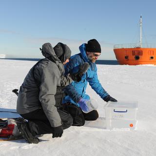 31 janvier 2017 - Interviewé par Bastien Confino, le scientifique Lois Maignin collecte des échantillons de neige.
Noé Sardet
Parafilms-EPFL [Parafilms-EPFL - Noé Sardet]