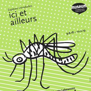 L'affiche de l'exposition "Ici et ailleurs" du Musée d’histoire naturelle de Fribourg.
MHN [MHN]