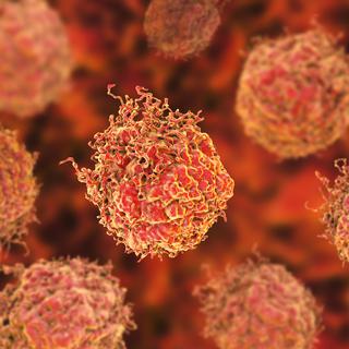 Les cellules cancéreuses de la prostate utilisent les mitochondries pour leur croissance. [KATERYNA KON / SCIENCE PHOTO LIBRA / KKO / Science Photo Library]